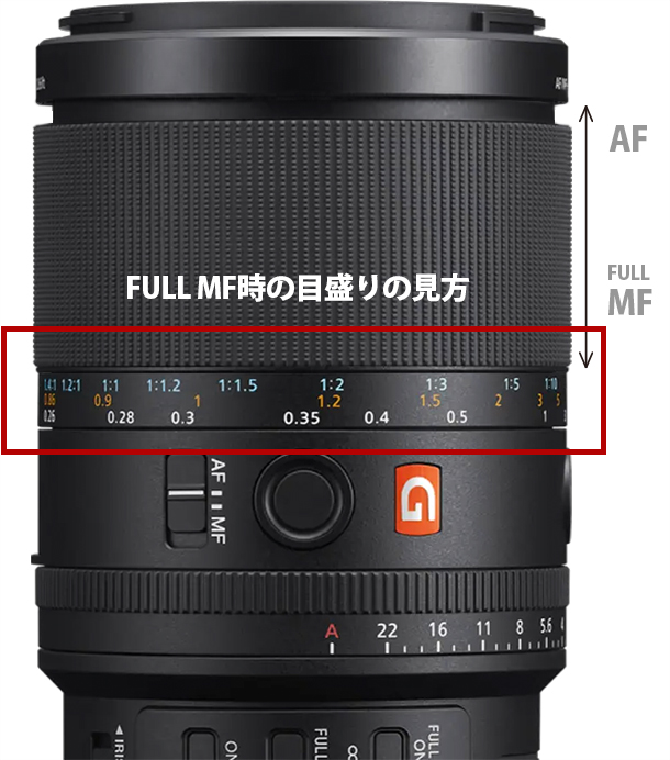 FE 100mm F2.8 Macro GM OSS,SEL100M28GM,マクロレンズ,スペックレビュー