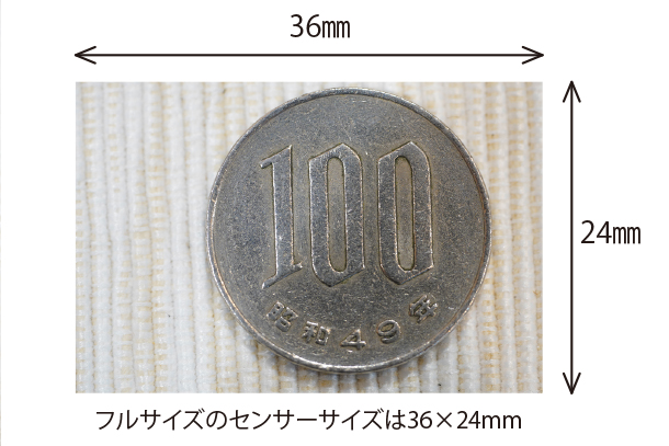 FE 100mm F2.8 Macro GM OSS,SEL100M28GM,マクロレンズ,スペックレビュー,90mmマクロ作例