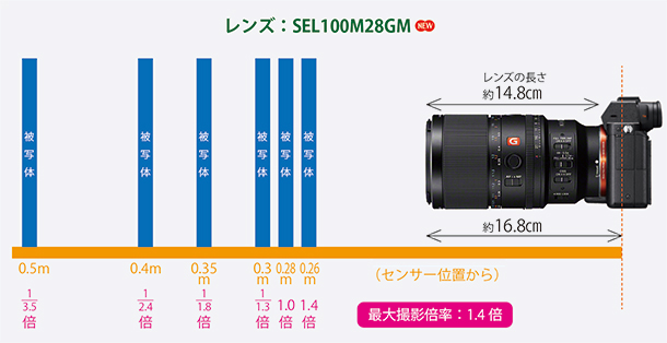 FE 100mm F2.8 Macro GM OSS,SEL100M28GM,マクロレンズ,スペックレビュー
