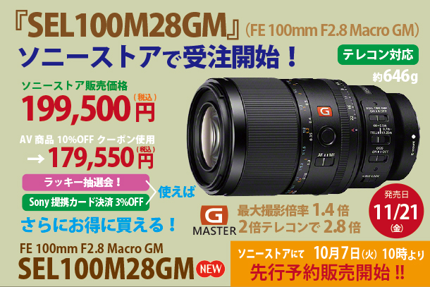 FE 100mm F2.8 Macro GM OSS,SEL100M28GM,マクロレンズ