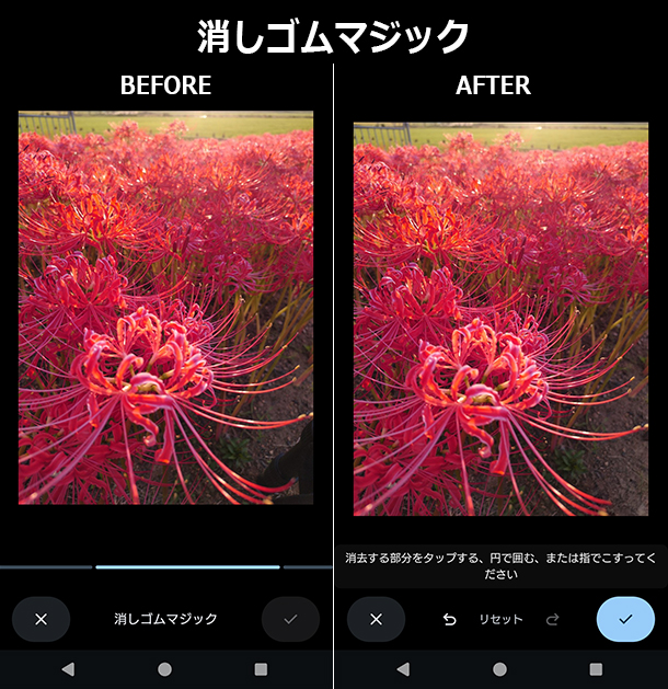 Xperia 10 VII,XQ-FE44,SIMフリー,実機レビュー