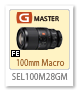 SEL100M28GM,100mmマクロ,FE 100mm F2.8 Macro GM OSS