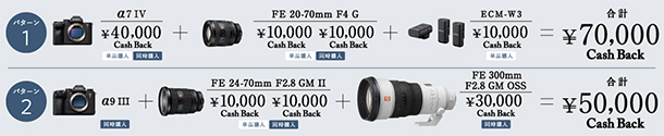 αウインターキャッシュバックキャンペーン2025,sonyalpha,カメラ,レンズ,ソニーストア