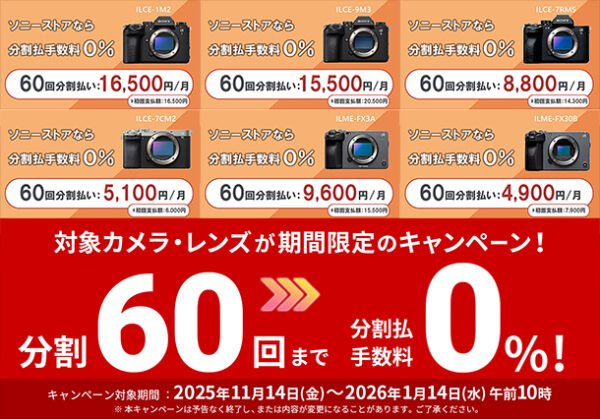 α＜アルファ＞,60回分割払い手数料0%,ソニーストア