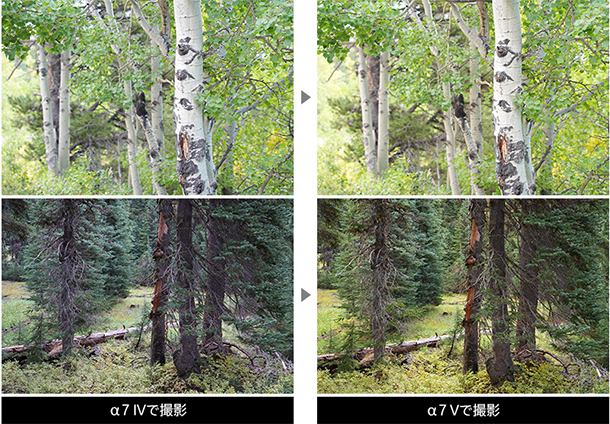 α7V,ILCE-7M5,デジタル一眼カメラ,ベーシック機,ソニーストア,徹底スペックレビュー,進化まとめ