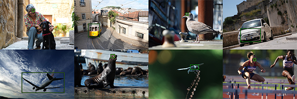 α7V,ILCE-7M5,デジタル一眼カメラ,ベーシック機,ソニーストア,徹底スペックレビュー,進化まとめ