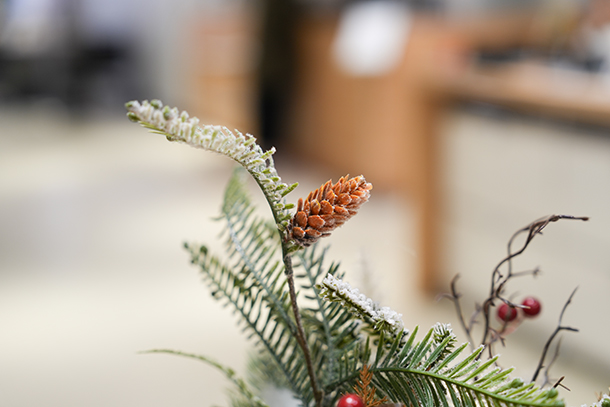 α7V,ILCE-7M5,デジタル一眼カメラ,ベーシック機,ソニーストア,実機レビュー,進化まとめ