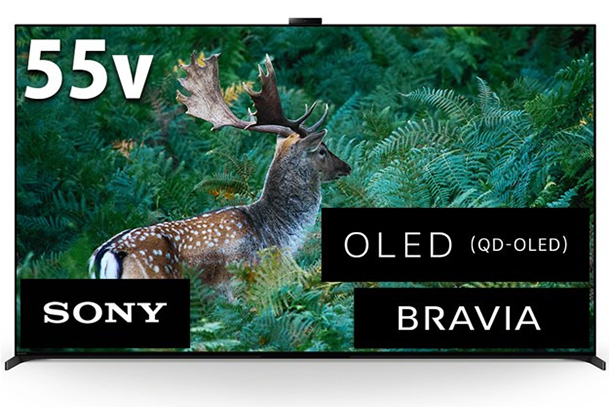 XRJ-55A95L,BRAVIA,OLED,有機EL,4Kテレビ
