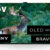 XRJ-65A95L,BRAVIA,OLED,有機EL,4Kテレビ