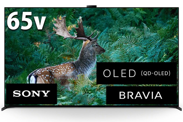 XRJ-65A95L,BRAVIA,OLED,有機EL,4Kテレビ