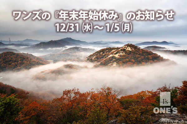ワンズお正月休み,ソニーショップ