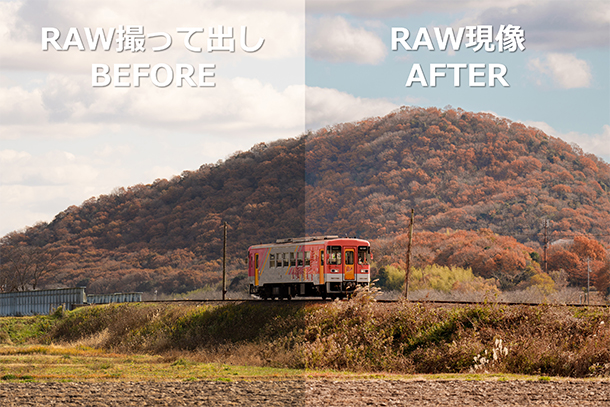 α7V,ILCE-7M5,RAW・JPEG画質設定編,セットアップレビュー
