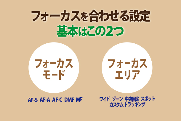 α7V,ILCE-7M5,フォーカスモード,フォーカスエリア,セットアップレビュー