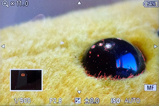 α7V,ILCE-7M5,フォーカスモード,フォーカスエリア,セットアップレビュー