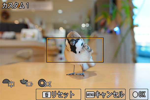 α7V,ILCE-7M5,フォーカスモード,フォーカスエリア,セットアップレビュー