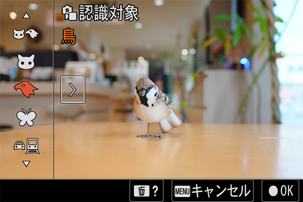 α7V,ILCE-7M5,フォーカスモード,フォーカスエリア,セットアップレビュー