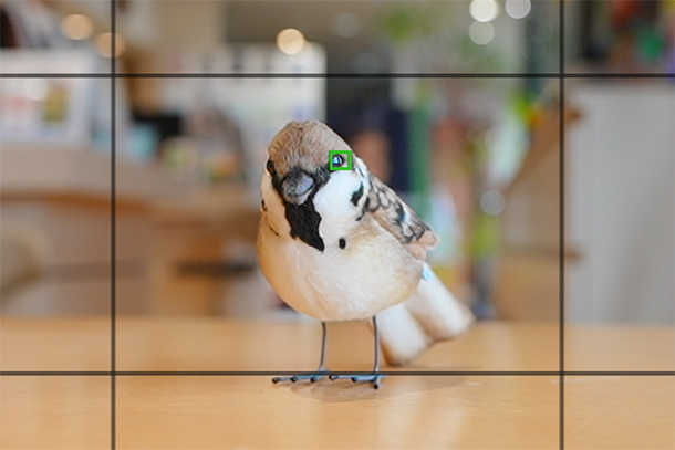 α7V,ILCE-7M5,フォーカスモード,フォーカスエリア,セットアップレビュー