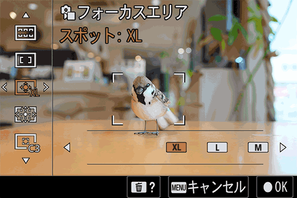 α7V,ILCE-7M5,フォーカスモード,フォーカスエリア,セットアップレビュー