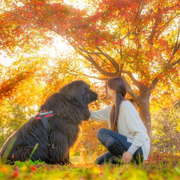前川さおり,まいあそぶ,写真展,蝶,ソニーショップ ワンズ