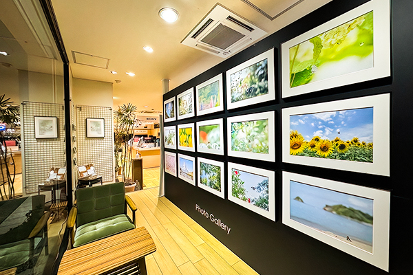 前川さおり,まいあそぶ,写真展,蝶,ソニーショップ ワンズ