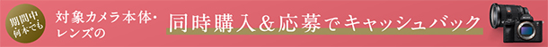  αスプリングキャッシュバックキャンペーン2026,ソニーストア