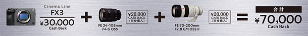 Cinema Line Camera,キャッシュバックキャンペーン,FX3,FX30,FX2