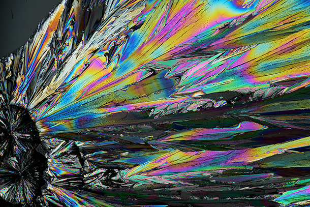 CP+2026,ソニーブース,イベントレポート