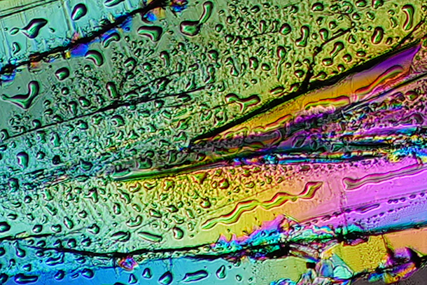 CP+2026,ソニーブース,イベントレポート