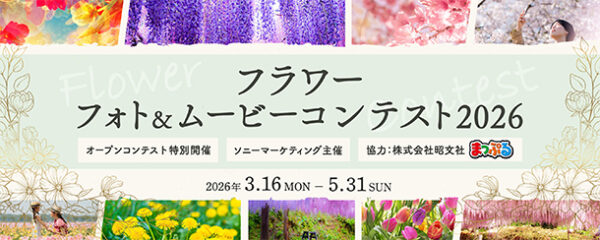 フラワーフォト＆ブービーコンテスト,αcafe,ソニー,sony