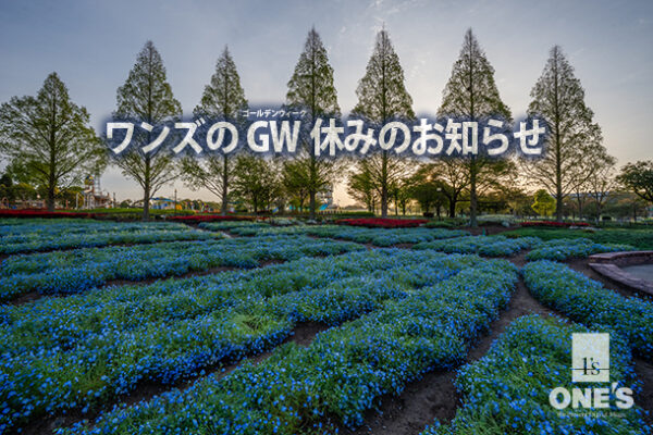 ソニーショップ,ワンズ,GW,ゴールデンウィーク休み,ワンズ,ONE'S