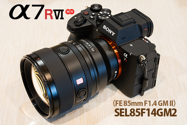 α7RVI,ILCE-7RM6,実機レビュー,飛行機撮影