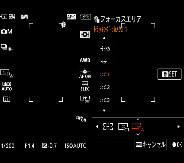 α7RVI,ILCE-7RM6,実機レビュー,飛行機撮影