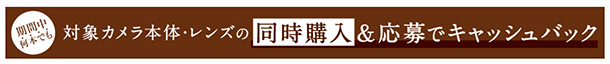 α受賞記念キャンペーン,二冠達成,キャッシュバック,ソニーストア,カメラ,レンズ