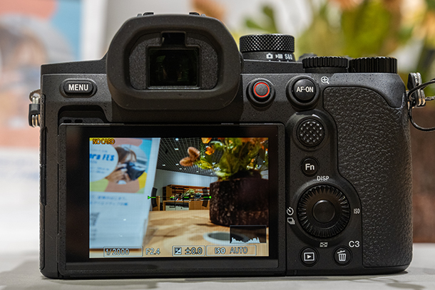 RX10V,DSC-RX10M5,コンデジ,サイバーショット,ソニーストア,24-600mm,実機レビュー,体験レポート,ソニーストア