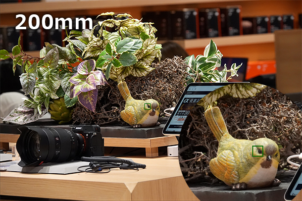 RX10V,DSC-RX10M5,コンデジ,サイバーショット,ソニーストア,24-600mm,実機レビュー,体験レポート,ソニーストア
