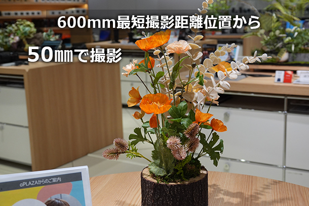 RX10V,DSC-RX10M5,コンデジ,サイバーショット,ソニーストア,24-600mm,実機レビュー,体験レポート,ソニーストア