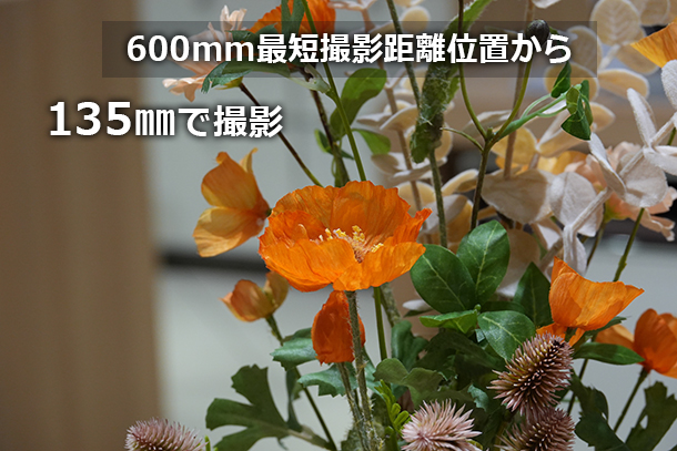 RX10V,DSC-RX10M5,コンデジ,サイバーショット,ソニーストア,24-600mm,実機レビュー,体験レポート,ソニーストア