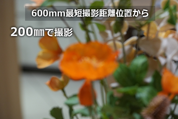 RX10V,DSC-RX10M5,コンデジ,サイバーショット,ソニーストア,24-600mm,実機レビュー,体験レポート,ソニーストア