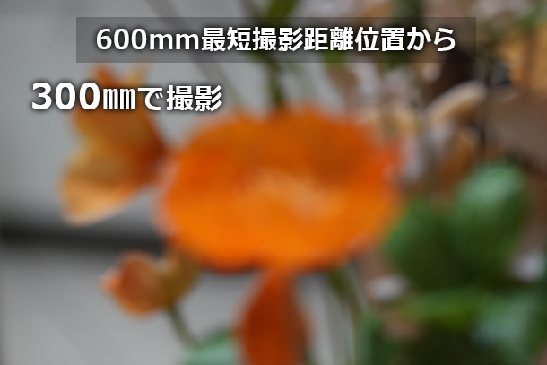 RX10V,DSC-RX10M5,コンデジ,サイバーショット,ソニーストア,24-600mm,実機レビュー,体験レポート,ソニーストア