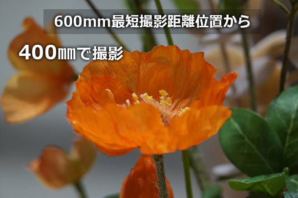 RX10V,DSC-RX10M5,コンデジ,サイバーショット,ソニーストア,24-600mm,実機レビュー,体験レポート,ソニーストア