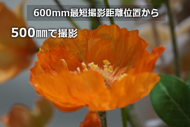 RX10V,DSC-RX10M5,コンデジ,サイバーショット,ソニーストア,24-600mm,実機レビュー,体験レポート,ソニーストア