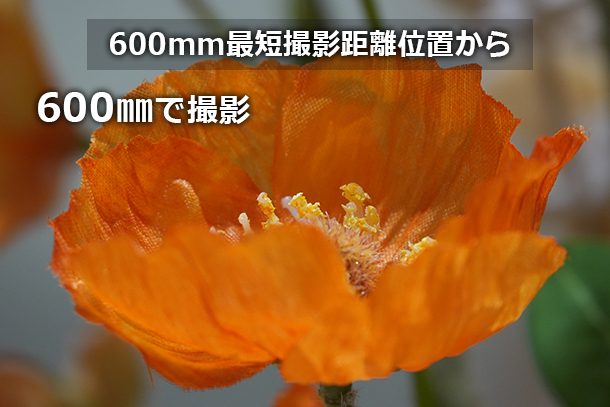 RX10V,DSC-RX10M5,コンデジ,サイバーショット,ソニーストア,24-600mm,実機レビュー,体験レポート,ソニーストア