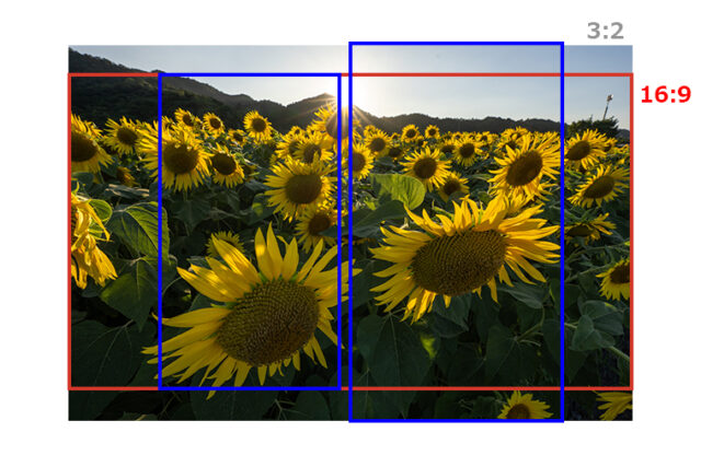 FX5（ILME-FX5）,FX5,ILME-FX5,CinemaLine,プロフェッショナルカムコーダー,ソニーストア