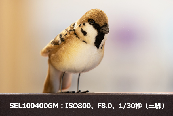 SEL100400,FE 100-400mm F5.6-8 OSS,望遠レンズ,sony,ソニーストア
