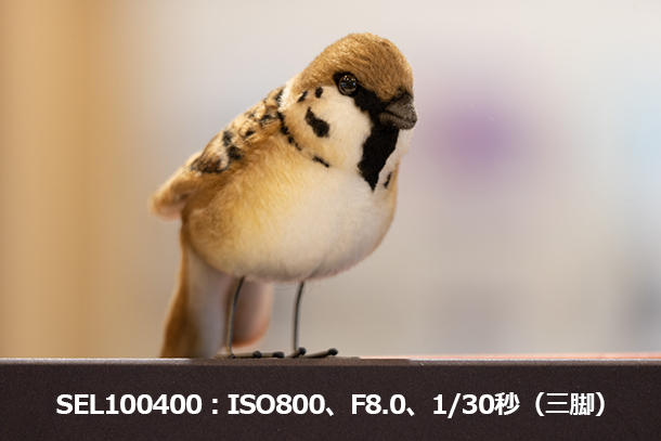 SEL100400,FE 100-400mm F5.6-8 OSS,望遠レンズ,sony,ソニーストア