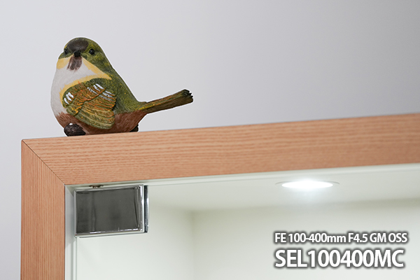 FE 400mm F4.5 GM OSS,SEL400F45GM,望遠単焦点レンズ,FE 400mm F4.5 GM,ソニーストア大阪,体験レビュー,実機レビュー
