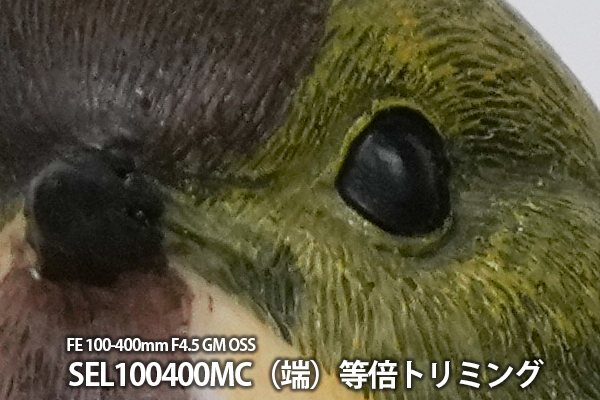 FE 400mm F4.5 GM OSS,SEL400F45GM,望遠単焦点レンズ,FE 400mm F4.5 GM,ソニーストア大阪,体験レビュー,実機レビュー