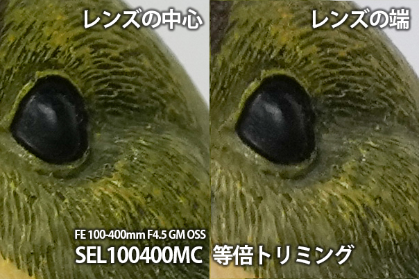FE 400mm F4.5 GM OSS,SEL400F45GM,望遠単焦点レンズ,FE 400mm F4.5 GM,ソニーストア大阪,体験レビュー,実機レビュー