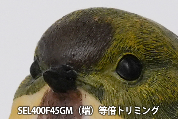 FE 400mm F4.5 GM OSS,SEL400F45GM,望遠単焦点レンズ,FE 400mm F4.5 GM,ソニーストア大阪,体験レビュー,実機レビュー
