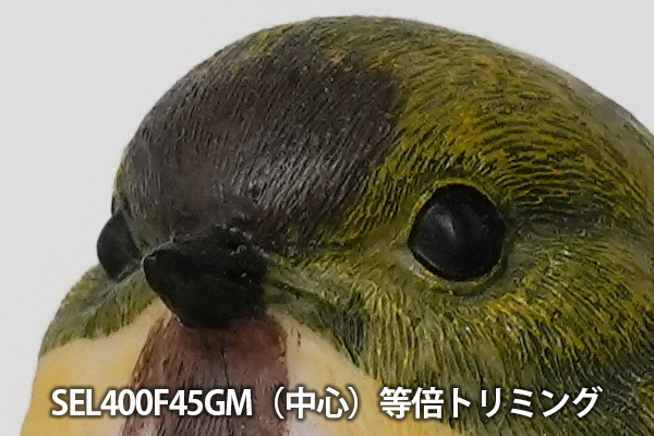 FE 400mm F4.5 GM OSS,SEL400F45GM,望遠単焦点レンズ,FE 400mm F4.5 GM,ソニーストア大阪,体験レビュー,実機レビュー